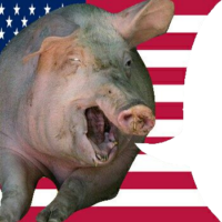 350x350