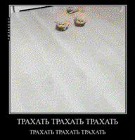 dW5ix3FS.жипег
