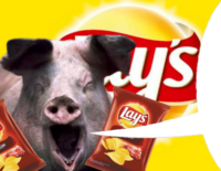 lUSN7oMu.жипег