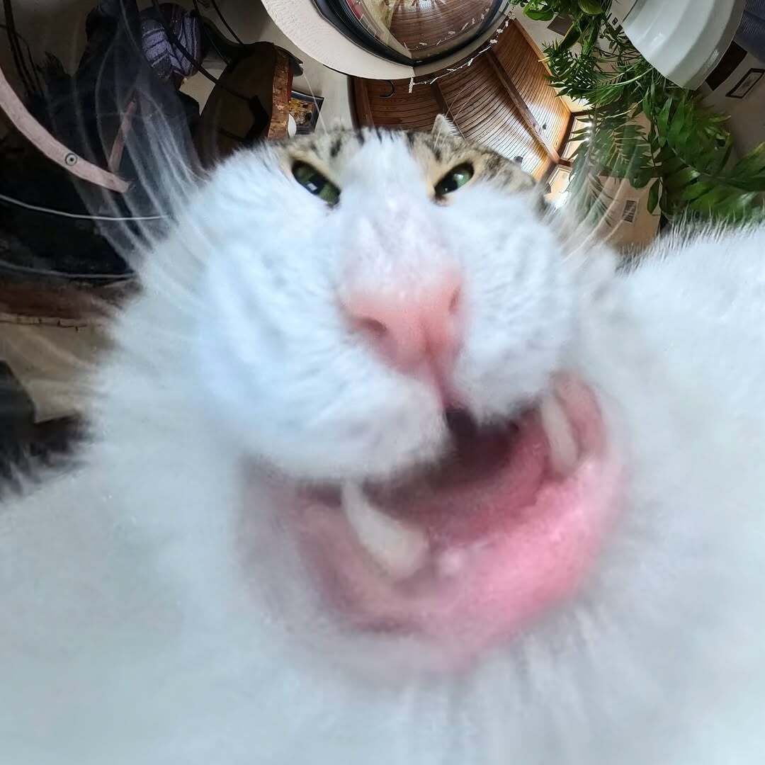 1080x1080