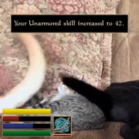 640x640