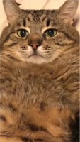 720x1264