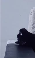 384x640