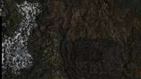 869x491