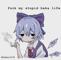 2560x2554