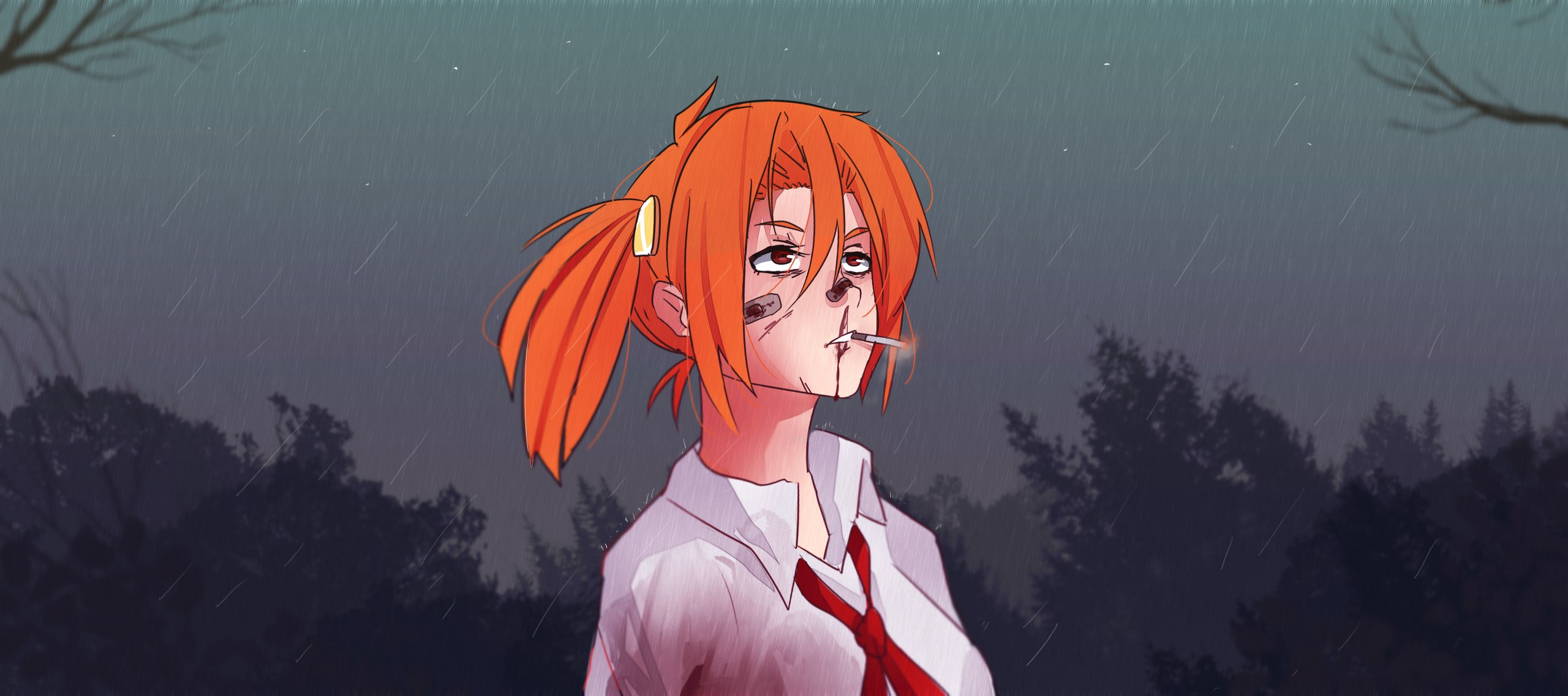2560x1137