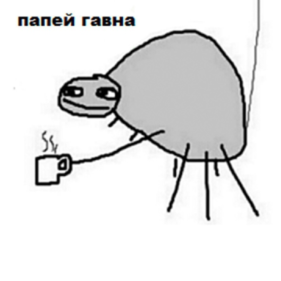 899x899