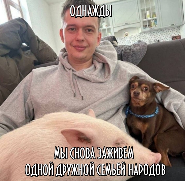 600x586