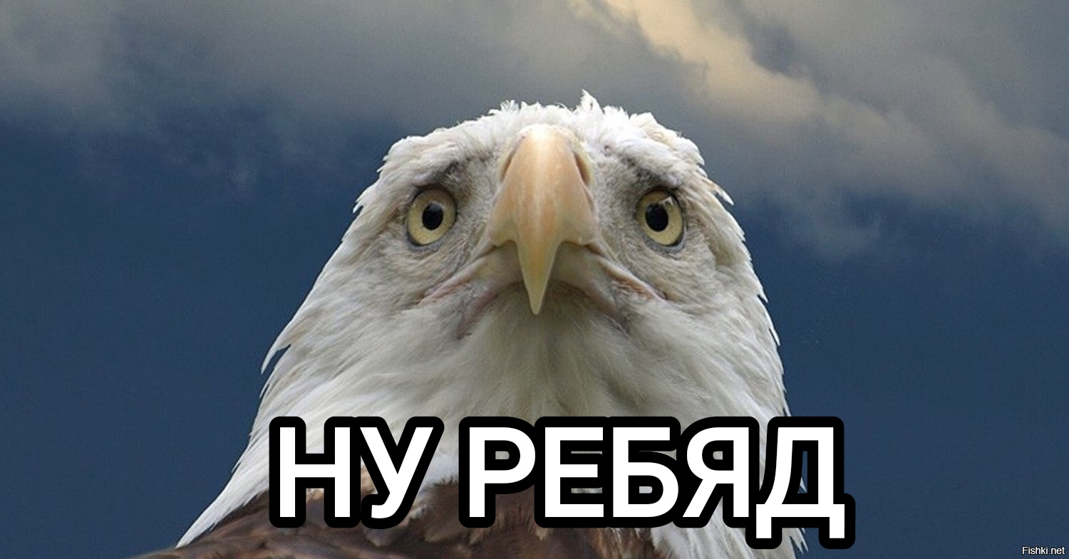 1500x785