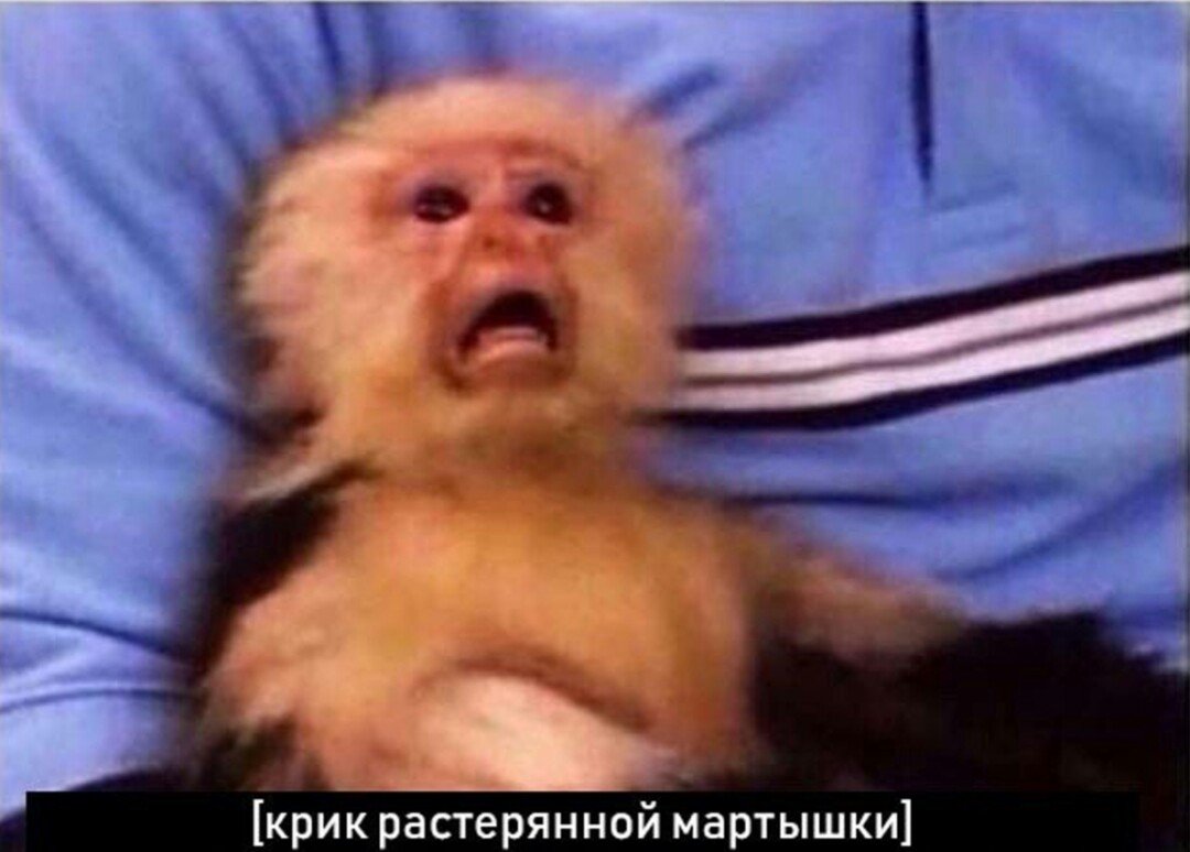 1080x774
