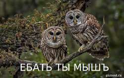 599x380