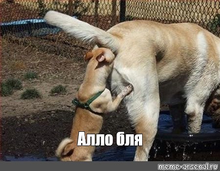 450x349