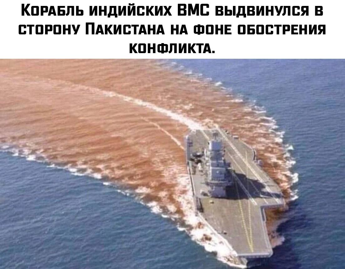 1102x861