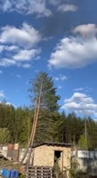 464x848