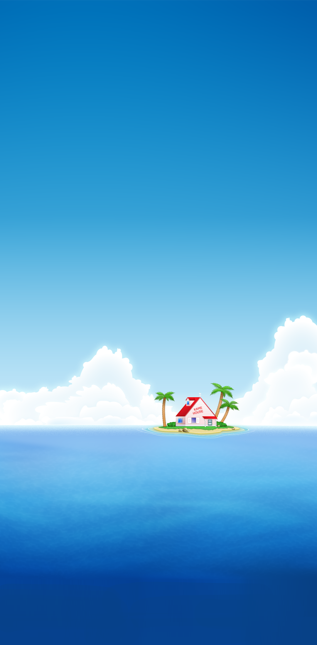 1080x2200