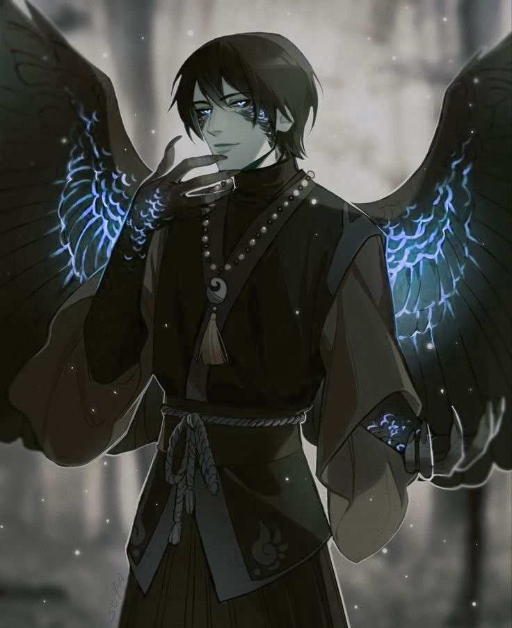 736x903