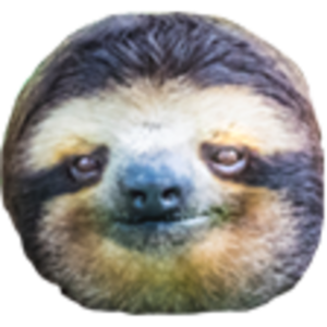 300x300