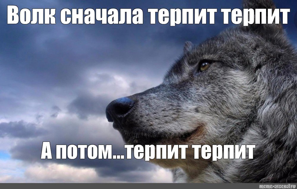 1000x637