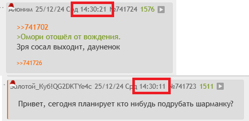 493x240