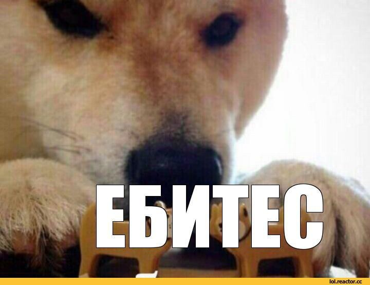 720x554