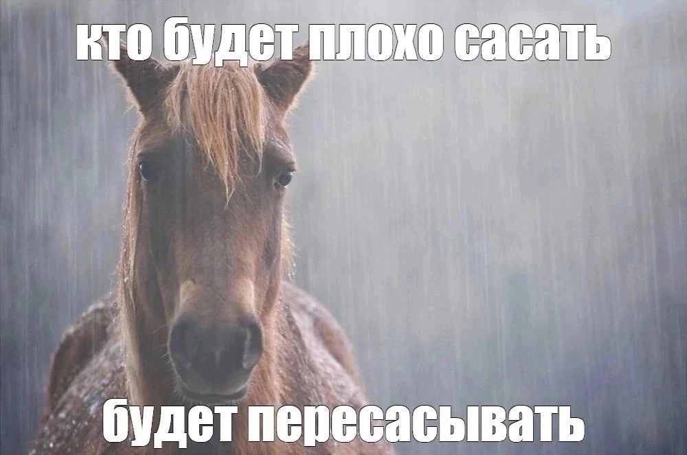 1000x663