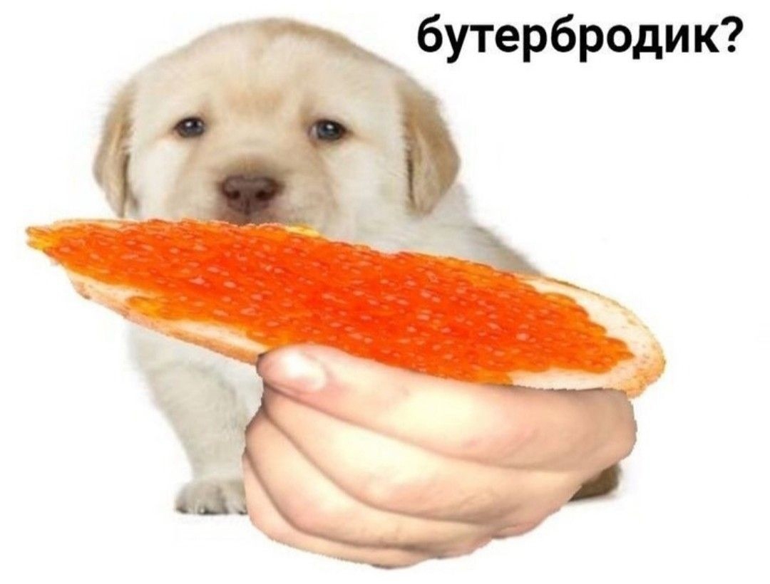 1080x820
