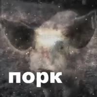 320x320