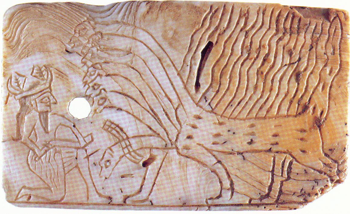 1153x706