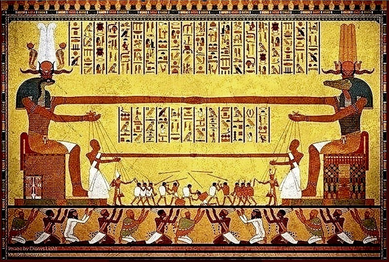 800x538