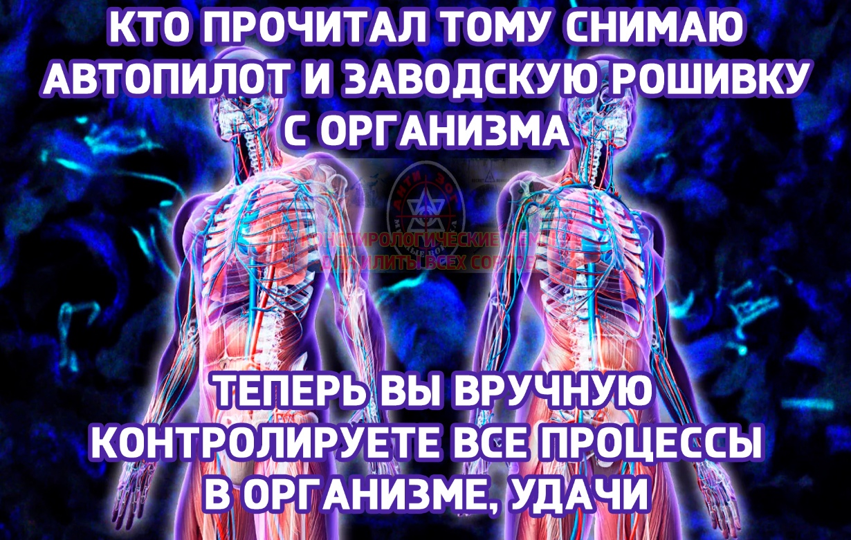 1230x781