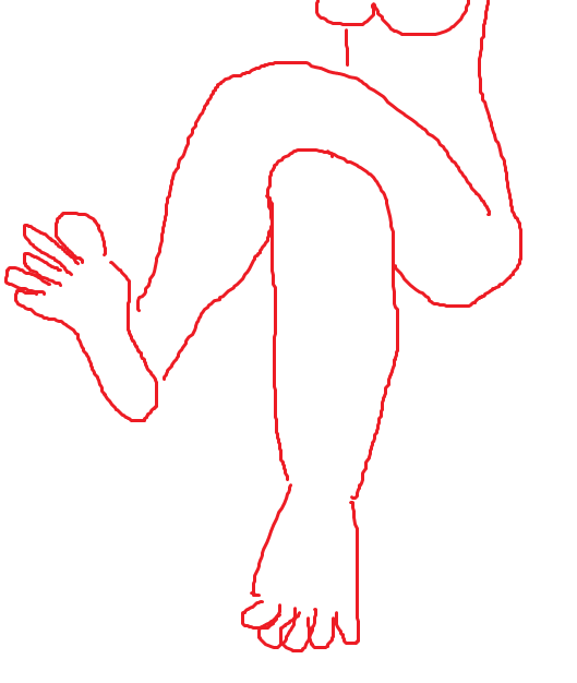 529x626